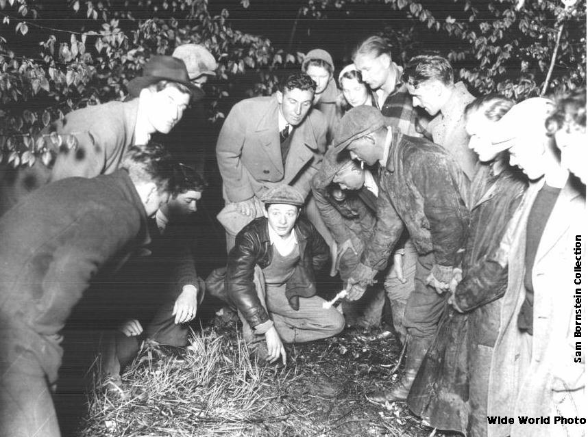 Lindbergh kidnapping Intelligence Wiki FANDOM powered